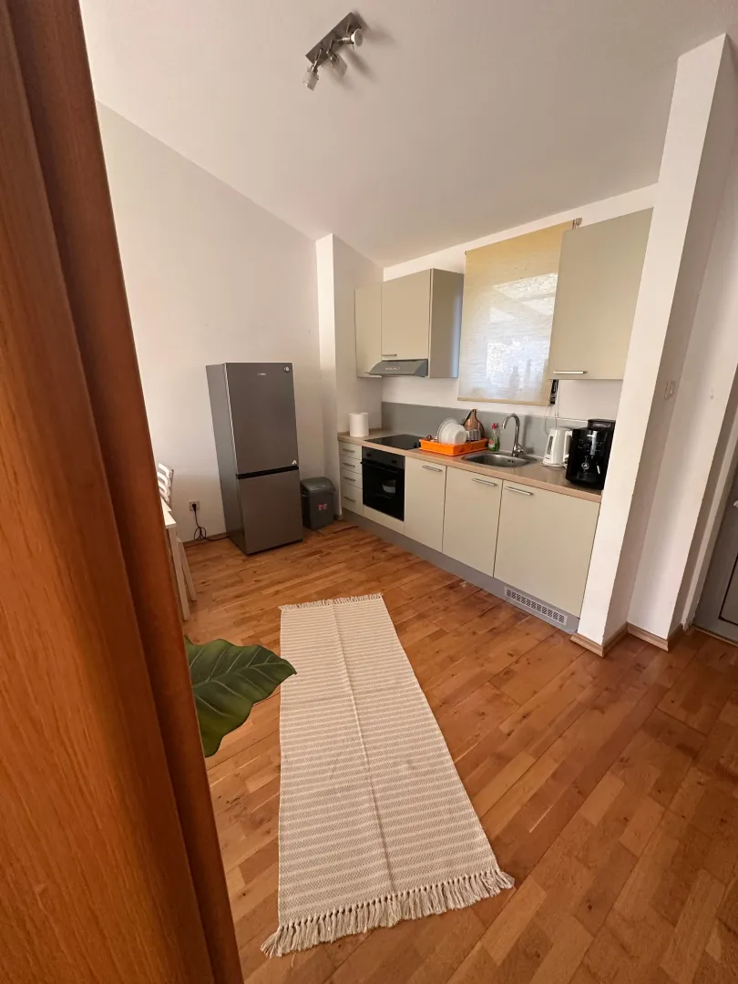 Manja svijetla kuhinja sa drvenim podom.