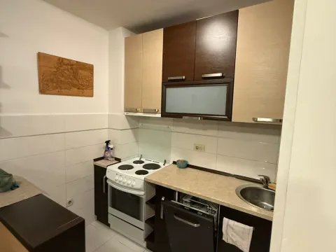Izdavanje, jednosoban stan, 40m², Stari Aerodrom, Podgorica - image 7