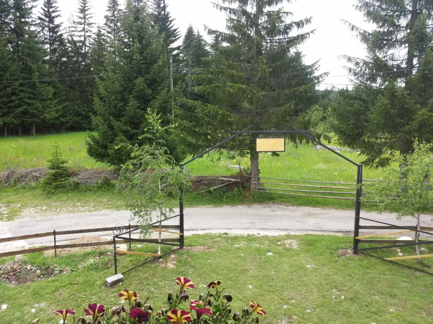 Pogled na prostrano travnato dvorište sa ulaznom kapijom i šumom u pozadini.