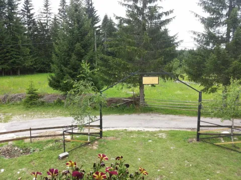 Pogled na prostrano travnato dvorište sa ulaznom kapijom i šumom u pozadini. - image 24