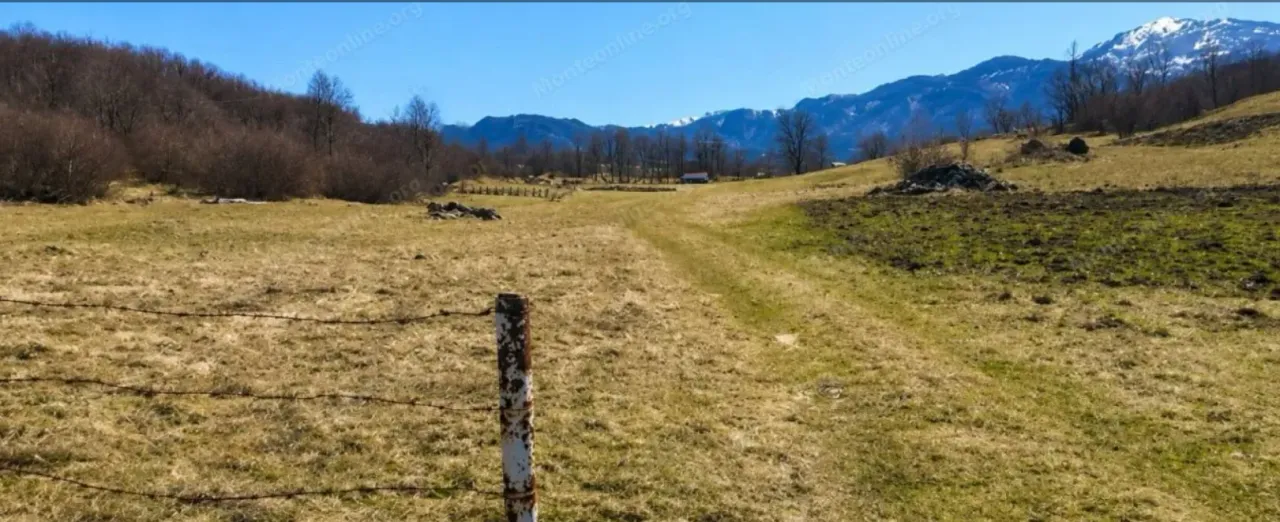 Sale, land lot, 8000m², Lukovo, Nikšić