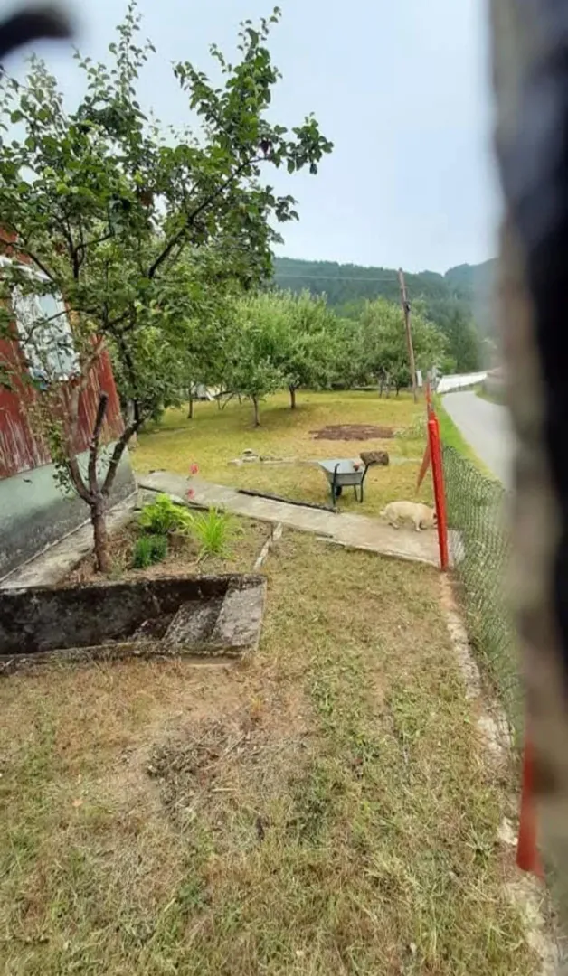 Prodaja, kuća, 1000m², Centar, Mojkovac