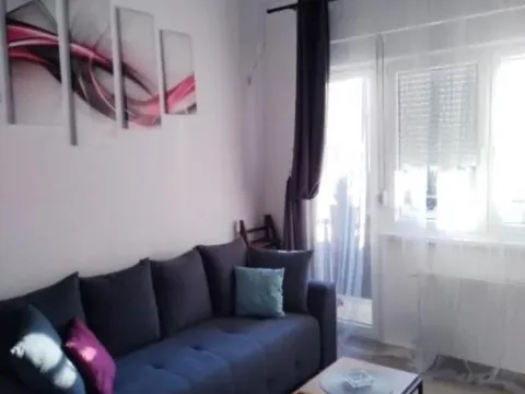 Izdavanje, jednosoban stan, 42m², Petrovaradin, Novi Sad - image 10