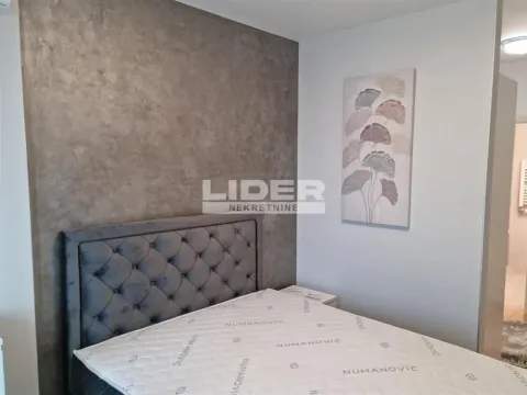 Izdavanje, dvosoban stan, 62m², Novi Beograd Blok 65, Novi Beograd Sve Podlokacije - image 7