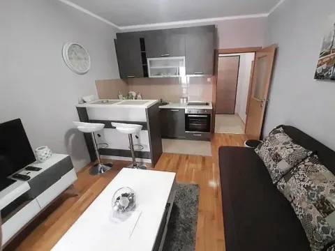 Rent, apartment, 30m², Ljubović, Podgorica