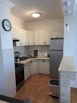 Manja svijetla kuhinja sa bijelim elementima i šankom. - image 3