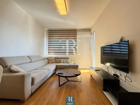 Izdavanje, jednosoban stan, 46m², Central Point, Podgorica - image 2