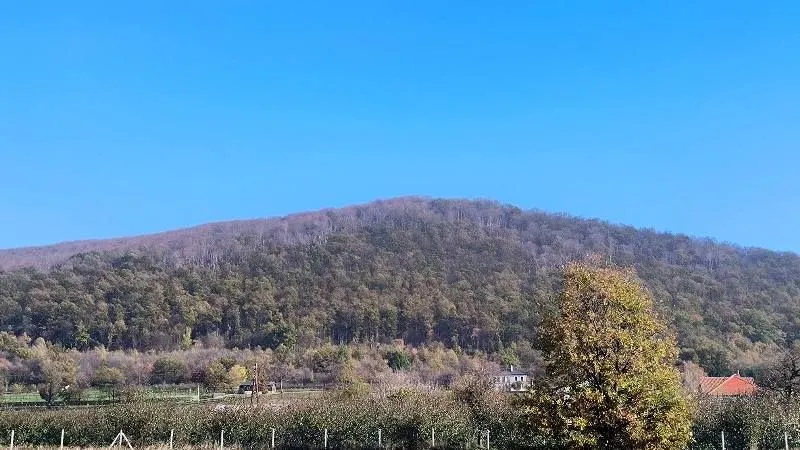 Prodaja, plac, 1300m², Sopot (mesto), Sopot