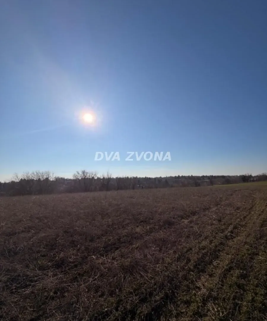 Prodaja, plac, 1000m², Čortanovci, Inđija