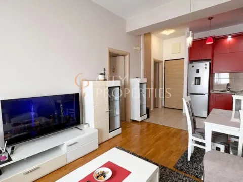 Rent, apartment, 42m², Ljubović, Podgorica - image 3