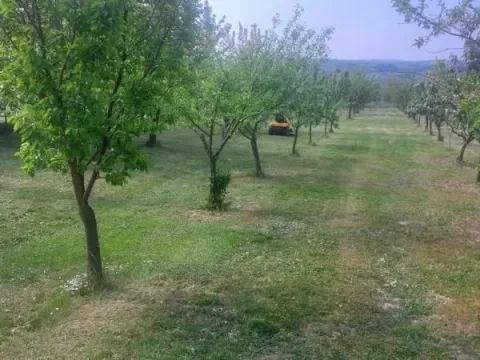 Sale, land lot, 1587m², Voždovac Sve Podlokacije, Beograd - image 6