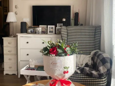 Prodaja, dvosoban stan, 47m², Dalmatinska ulica, Podgorica - image 2