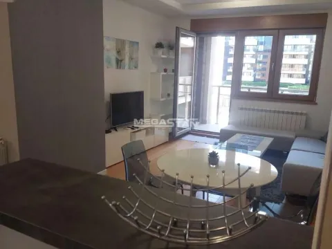 Izdavanje, dvosoban stan, 60m², Novi Beograd Sve Podlokacije, Beograd - image 10
