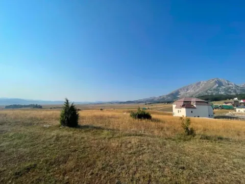 Prodaja, plac, 368m², Motički gaj, Žabljak - image 4