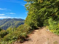 Sale, land lot, 89208m², Padež, Kolašin - image 5