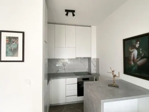 Izdavanje, jednosoban stan, 49m², Seljanovo, Tivat - image 6