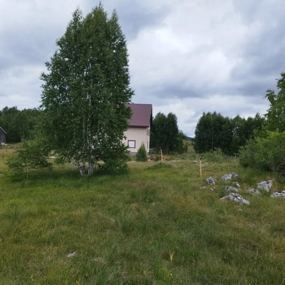 Prodaja, plac, 595m², Tepačko polje, Žabljak