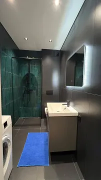 Moderne opremljeno kupatilo sa tamnim pločicama i tuš kabinom. - image 9