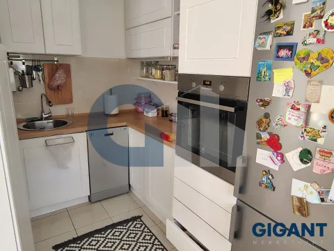 Sale, three bedroom apartment, 90m², Višnjička Banja, Palilula Sve Podlokacije - image 9