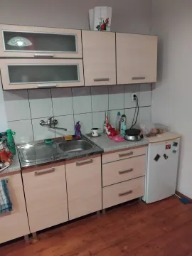 Manja kuhinja sa elementima svijetlog drveta i sudoperom. - image 4