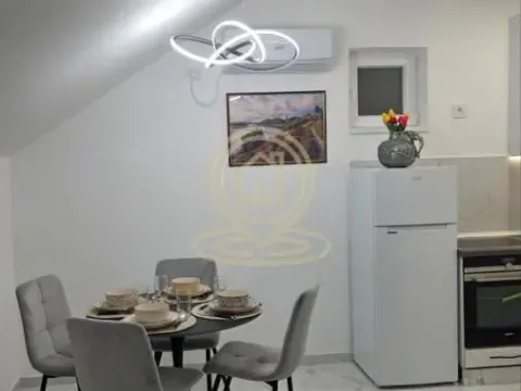 Rent, one bedroom apartment, 45m², Veternik, Novi Sad Sve Podlokacije - image 5