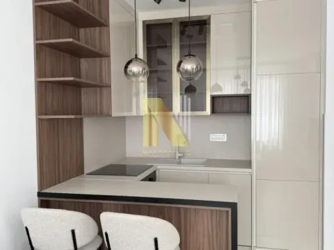 Izdavanje, dvosoban stan, 40m², Centar, Novi Sad - image 2