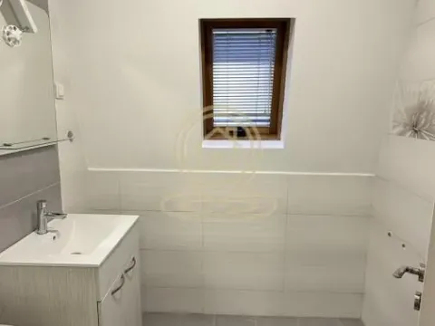 Izdavanje, poslovni prostor, 80m², Zemun Sve Podlokacije, Beograd - image 5