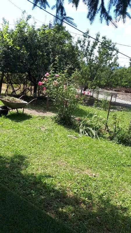 Sale, house, 38m², Voždovac Sve Podlokacije, Beograd