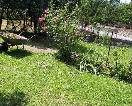 Prodaja, kuća, 38m², Voždovac Sve Podlokacije, Beograd - image 5