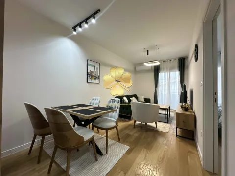Izdavanje, jednosoban stan, 40m², Central Point, Podgorica - image 3