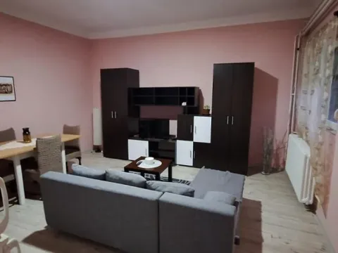 Izdavanje, dvosoban stan, 60m², Centar, Novi Sad - image 1