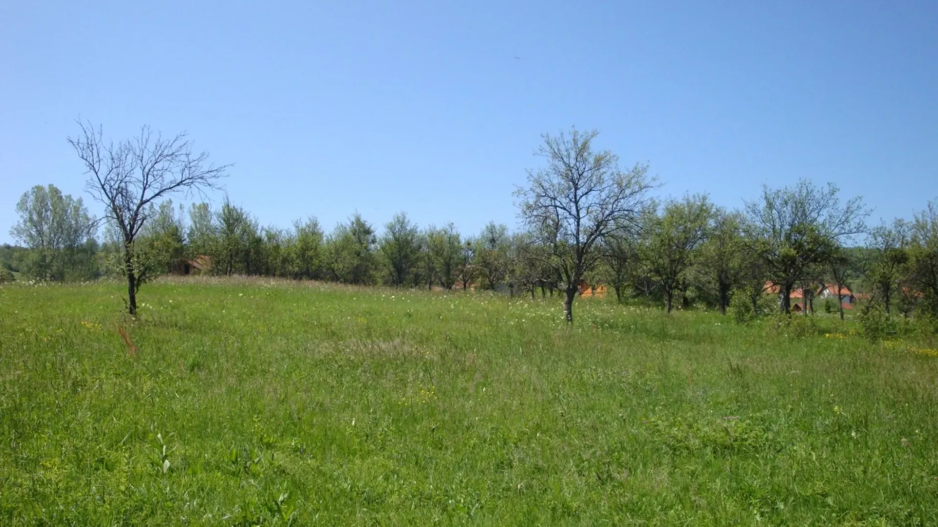 Prodaja, plac, 6400m², Kremna, Užice