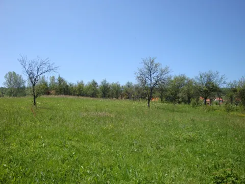 Prodaja, plac, 6400m², Kremna, Užice - image 3