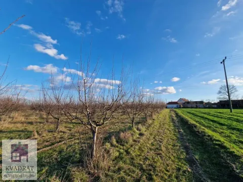 Prodaja, plac, 38000m², Kožuar, Ub - image 6