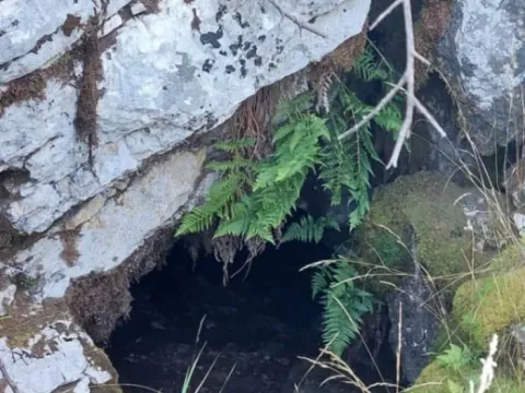 Prodaja, plac, 480000m², Brestice, Nikšić - image 4