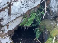 Sale, land lot, 480000m², Brestice, Nikšić - image 4