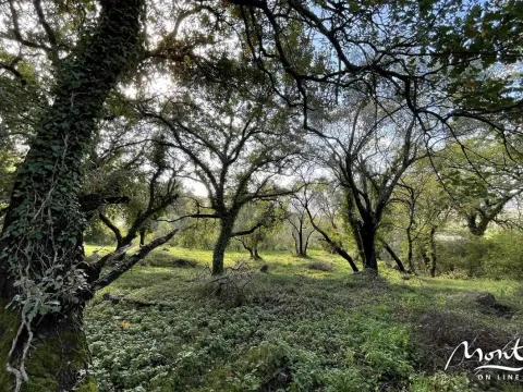 Prodaja, plac, 350m², Kavač, Kotor - image 8