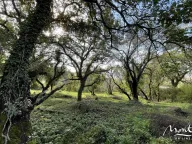 Sale, land lot, 3m², Kavač, Kotor - image 8