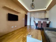 Izdavanje, jednosoban stan, 45m², Tuški Put, Podgorica - image 4