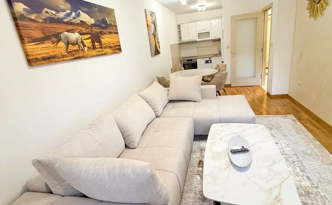 Rent, one bedroom apartment, 46m², Zagorič, Podgorica