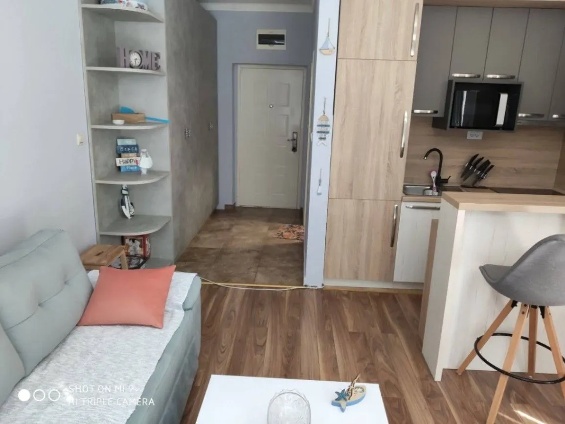 Rent, one bedroom apartment, 42m², Bečići, Budva