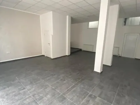 Poslovni prostor in Lion