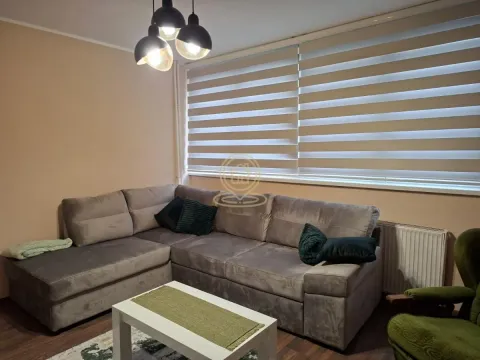 Izdavanje, dvosoban stan, 55m², Erdoglija, Kragujevac - image 11