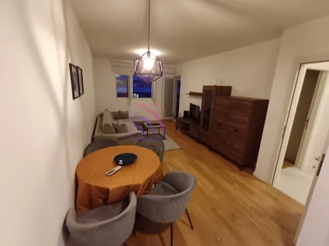 Izdavanje, jednosoban stan, 49m², Central Point, Podgorica - image 15