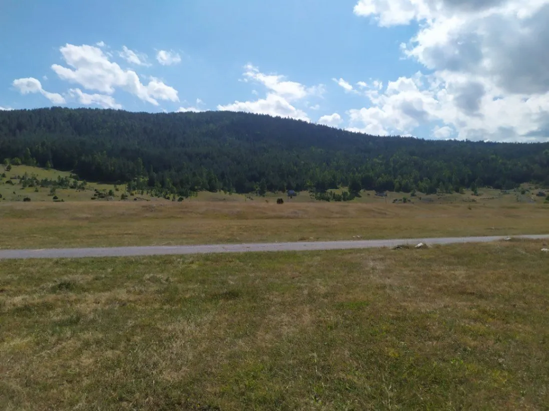 Prodaja, plac, 23700m², Njegovuđa, Žabljak