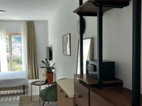 Izdavanje, garsonjera, 27m², Pržno, Budva - image 6