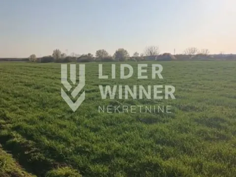 Sale, land lot, 20100m², Petrovčić, Surčin - image 2