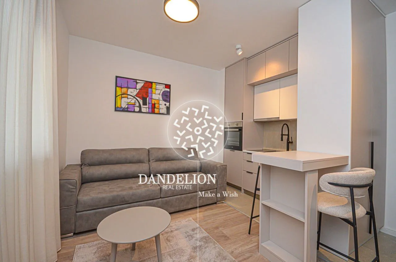 Izdavanje, stan, 22m², Zabjelo, Podgorica