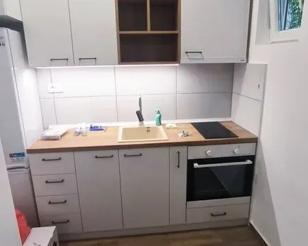 Izdavanje, dvosoban stan, 32m², Zvezdara Sve Podlokacije, Beograd - image 4