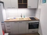 Izdavanje, dvosoban stan, 32m², Zvezdara Sve Podlokacije, Beograd - image 4